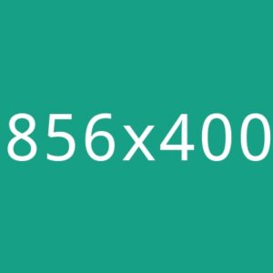 I Will Make Professional Excel And Google Sheets